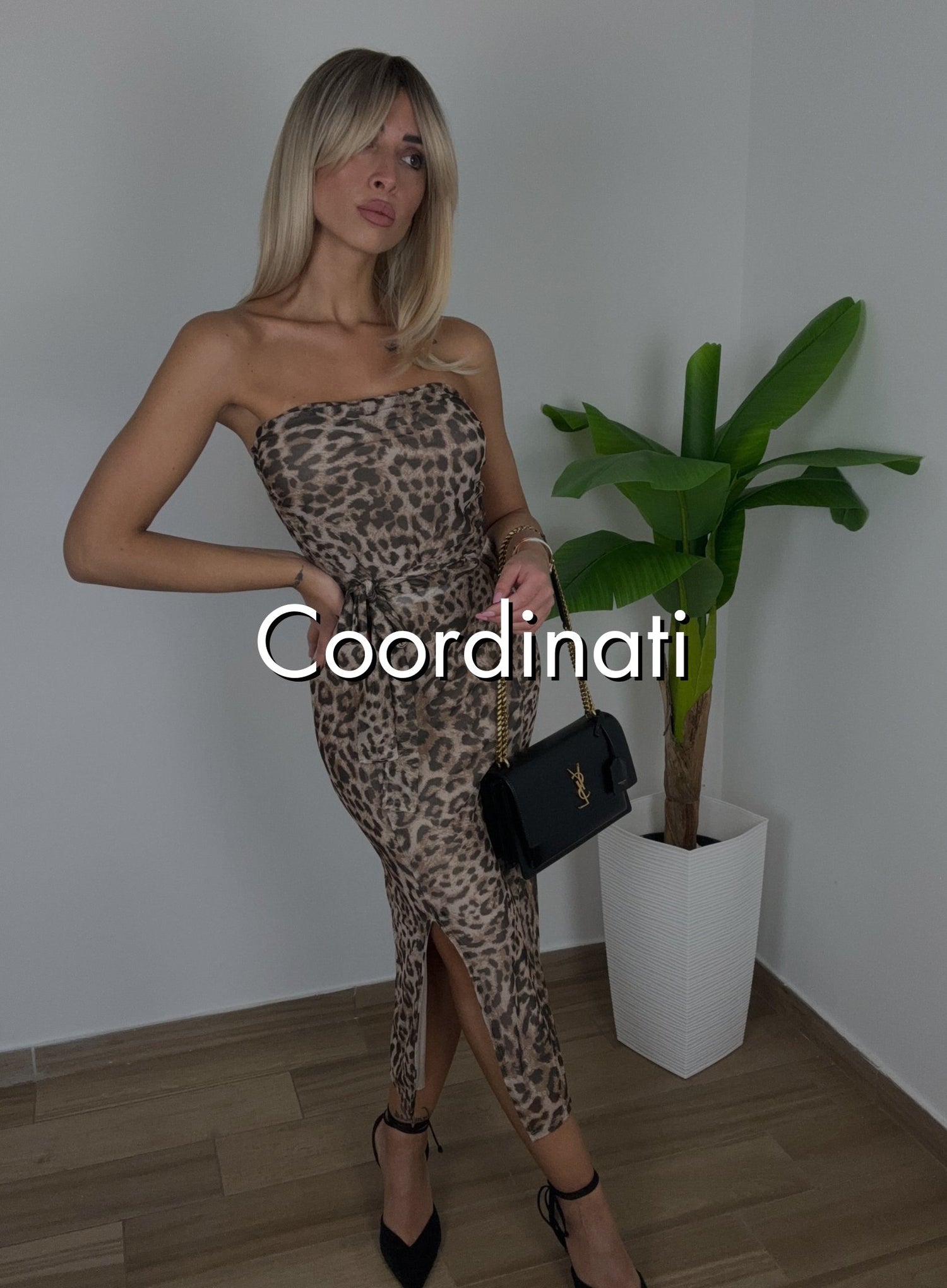 Coordinati